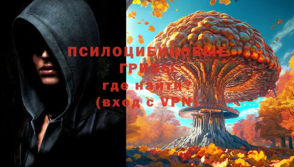 марки lsd Балахна