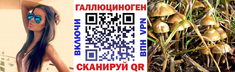 Галлюциногенные грибы мицелий  hydra зеркало  Саяногорск 